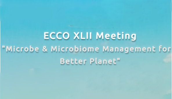 ECCO XLII meeting