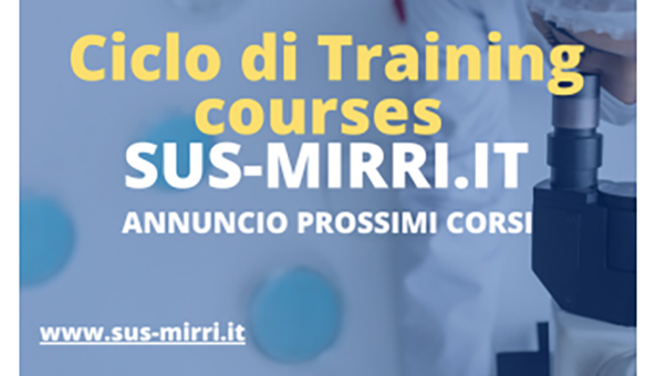 corsi