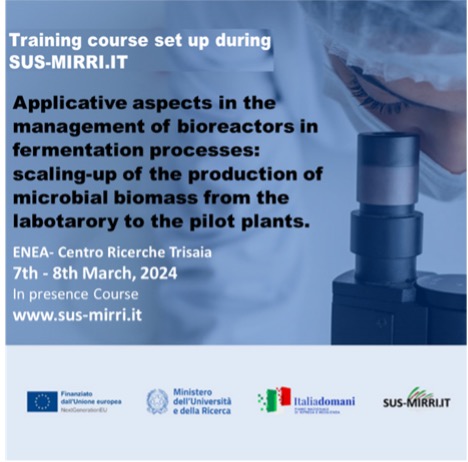 Applicative aspects in the management of bioreactors in fermentation processes: scaling-up of the production of microbial biomass from the laboratory to the pilot plants.